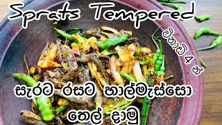 රසට සැරට හාල් මැස්සො තෙල් දාමු l Sprats Tempered l Halmasso thel dala l halmasso recipe | halmasso