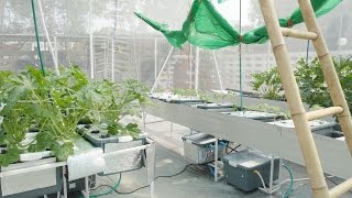 Aeroponics Garden System Overview