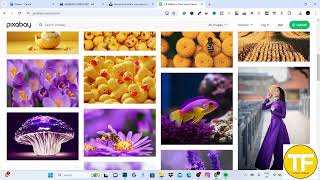 Best Website to Download Wallpaper for Laptop | L How To Download Wallpaper laptop