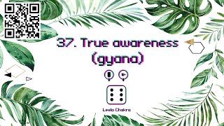 37. True awareness - Leela Chakra