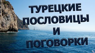 Мудрость востока. Турецкие пословицы и поговорки