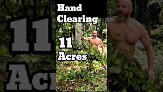 FLORIDA HOMESTEAD~Hand Clearing Raw Land #diy #chickens #homestead #family #hardwork #garden #coop