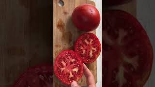 Обзор томата Старых сортов, Астраханский 🍅 #tomato #помидоры #выращиваем #обзор