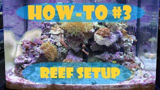 How-To Setup A Reef Tank (Beginner Guide)