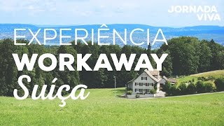 Transformando uma garagem em uma sala de aula  - Experiência Workaway - Jornada Viva