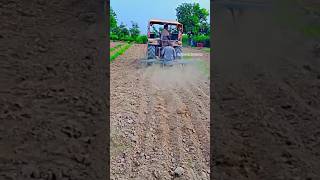 Sirohi Vegetable Farm Padla | #farmer #farming #vegetables #tractor #loki #jamidar #kisan #shorts