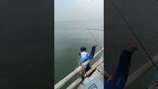 Sempat Viral Pria berjalan di Atas Air, Ternyata Ini yang Sebenarnya Terjadi #fishing #shortvideo