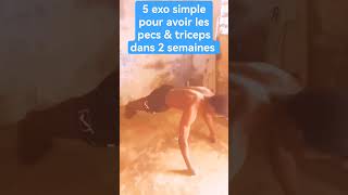 exercice simple et efficace pour avoir les pecs & triceps en acier 💪