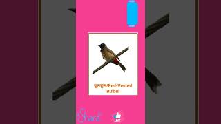 bird names Hindi #shortsvideo #shortsfeed