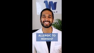 Can You Be Allergic to Horses?