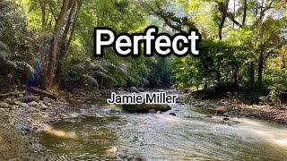 Here’s Your Perfect/Lyrics song by Jamie Miller