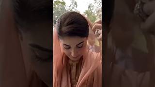 cm maryam nawaz in action