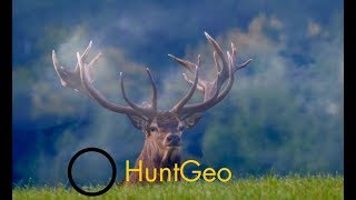 Red stag hunt in Austria - Hirsch Jagd in Österreich