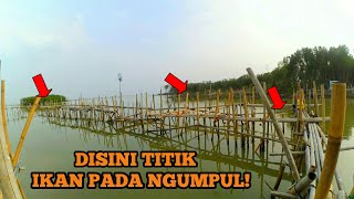 EXPLORE MANCING RUMPON – SPOT KALITELU NDELING