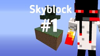 #1 skyblock