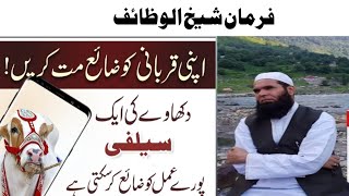 Qurbani Ko zaya mat Karen | Farman E Shaikh ul wazife |