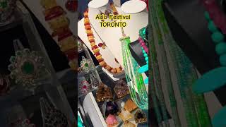 Festival of South Asia 2023 Toronto 🇨🇦 Indian Festival In Toronto