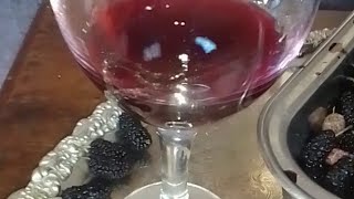 Vino de mora en 7 días. una opción para utilizar las Moras que fomento en Argentina El Gral Perón