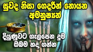 නිවසට ගැලපෙන දුමක් හදාගෙන අල්ලන පිළිවෙල _ vastu tips