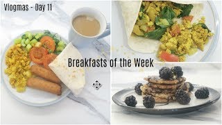 Breakfasts of the Week - Vegan | Vlogmas Day 11 | Olivia Elise