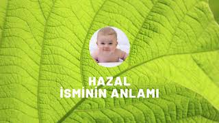 HAZAL isminin anlamı nedir? Kişisel özellikleri nelerdir?