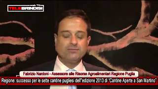 TeleBrindisiWebTv - 11 novembre 2013