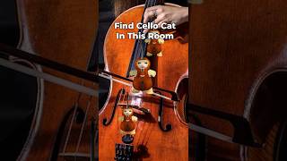 Cello Cat Finding Challenge