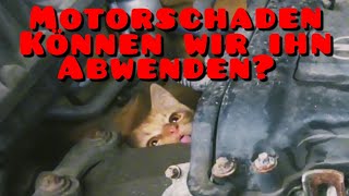 Motorschaden, haben wir ihn verhindert?