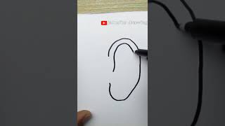 how to draw ear