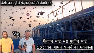 Moradabad Pigeon Flying Cup 2024 || Faizan Bhai Participated In The 105 Tournament!