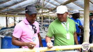 SECRETARIO DE AGRICULTURA DE TURBO, VISITÓ PROYECTO DE ACUAPONIA EN CAUCASIA.