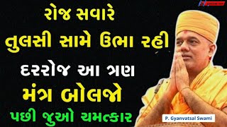 રોજ સવારે તુલસી સામે આ એક મંત્ર દરરોજ બોલજો | | By Gyanvatsal Swami 2024 | Baps katha | Motivation