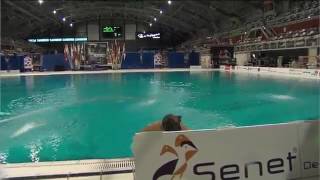 Alexandar Vitanov Senet Diving Cup 2017, Boys B Platform