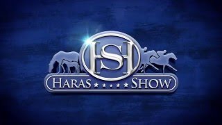 Haras Show 2016 - VT 30" do 2º Leilão Virtual