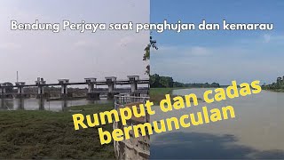 Perbandingan Bendung Perjaya-Penghujan-Kemarau