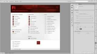 31 Adobe Flash Tutorial