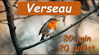 ♒️ VERSEAU - Persévérance et flexibilité - 20 juin au 20 juillet