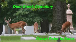 Deer Creek Cemetery