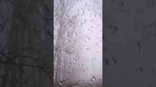 Rain in the car. ASMR #SHORTS