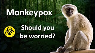 Monkeypox: Should you be worried?