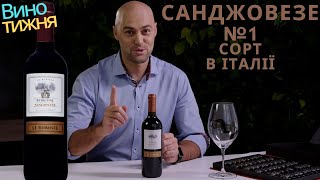 5 причин, чому Sangiovese - №1 сорт в італійському виноградарстві