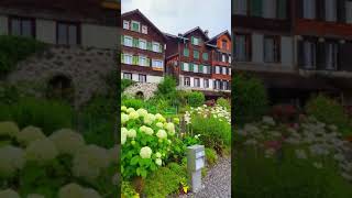 Beautiful nature and greenery| morning raining season in Zurich Switzerland#shorts #switzerland #