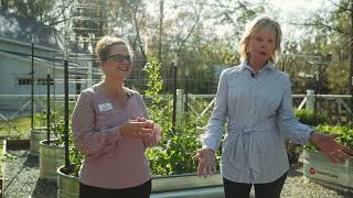 Member Spotlight with All Saints Garden Tour, led by Director of Membership, Michelle Green