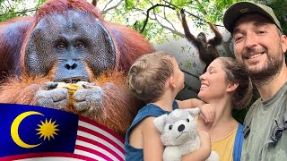 Where to See ORANGUTANS in SARAWAK, MALAYSIA - (With Kids)