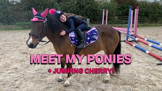 Meet The Ponies + Jumping Cherry