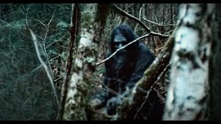 THIS IS THE MOST SHOCKING FOOTAGE OF BIGFOOT EVER CAPTURED ON CAMERA!!