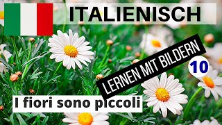 Italienisch lernen für Anfänger #10 | Multimedia Sprachkurse 24 Italienisch | Deutsch-Italienisch A1