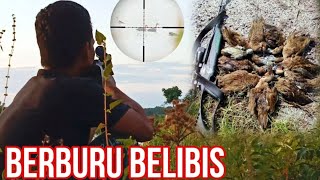 berburu belibis di tengah tambak