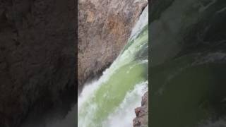 Lower falls. Yellowstone 2017