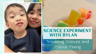 SCIENCE EXPERIMENT: TRAVELLING COLOURS & COLOUR MIXING